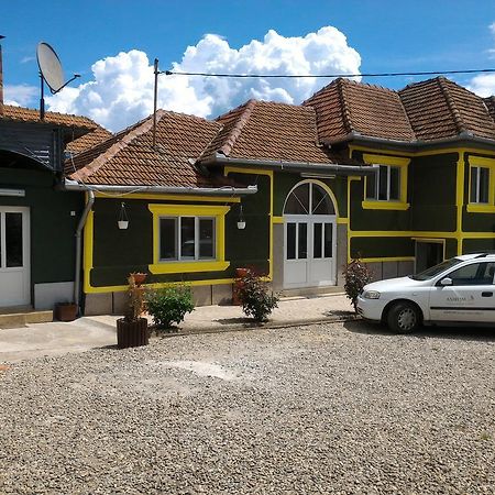 Casa Ana Apartment Hateg Bagian luar foto