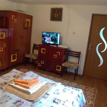 Casa Ana Apartment Hateg Bagian luar foto