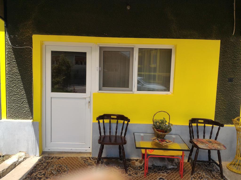 Casa Ana Apartment Hateg Bagian luar foto