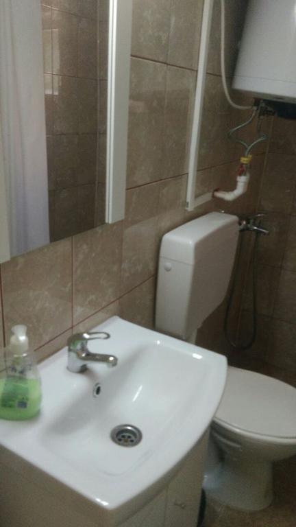 Casa Ana Apartment Hateg Bagian luar foto
