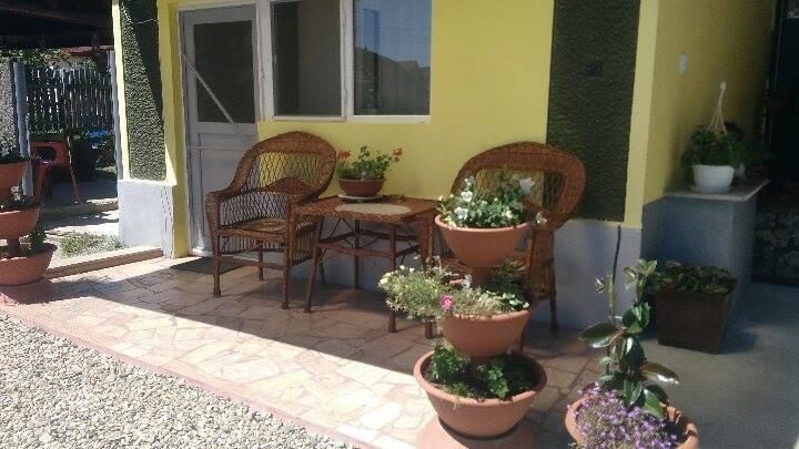Casa Ana Apartment Hateg Bagian luar foto