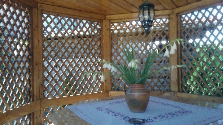 Casa Ana Apartment Hateg Bagian luar foto