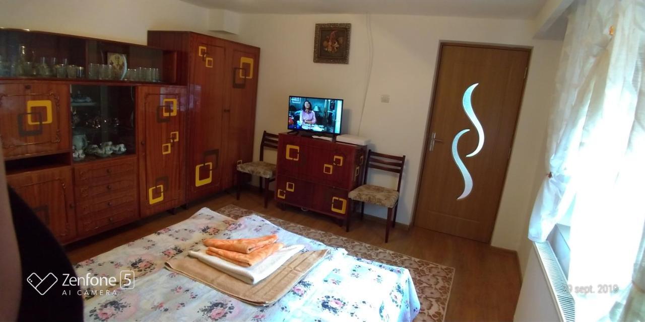 Casa Ana Apartment Hateg Bagian luar foto