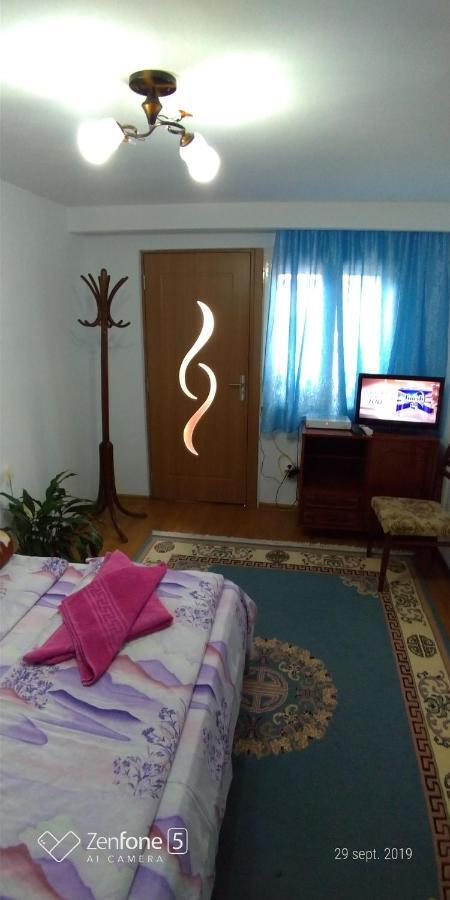 Casa Ana Apartment Hateg Bagian luar foto