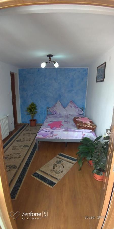 Casa Ana Apartment Hateg Bagian luar foto