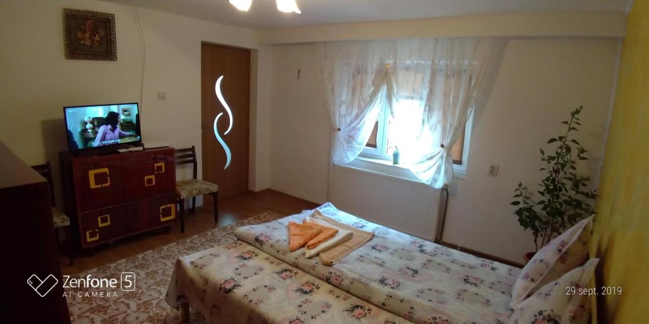 Casa Ana Apartment Hateg Bagian luar foto