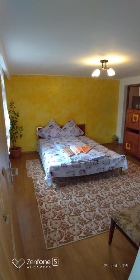Casa Ana Apartment Hateg Bagian luar foto