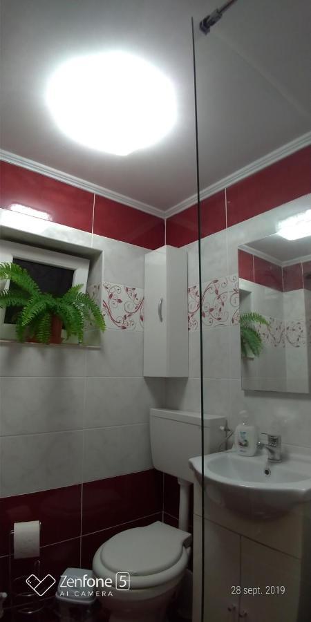 Casa Ana Apartment Hateg Bagian luar foto