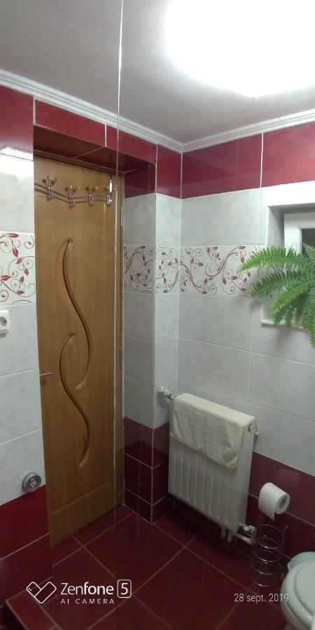Casa Ana Apartment Hateg Bagian luar foto